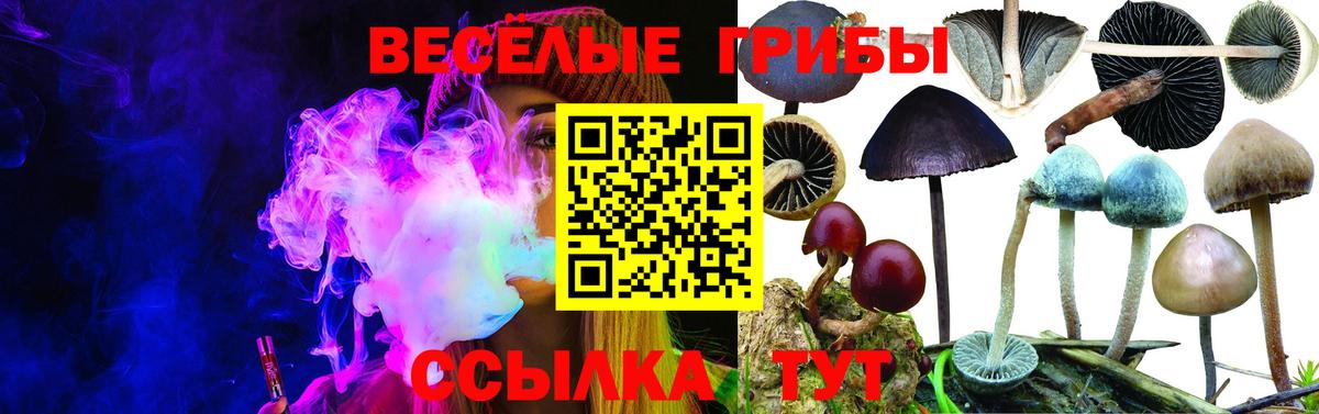 Мефедрон Новый Уренгой